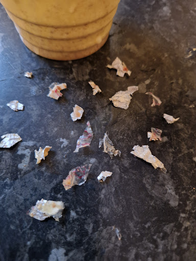 Photo of Naz's Grill - 169 Chester Rd, Sunderland SR4 7JA